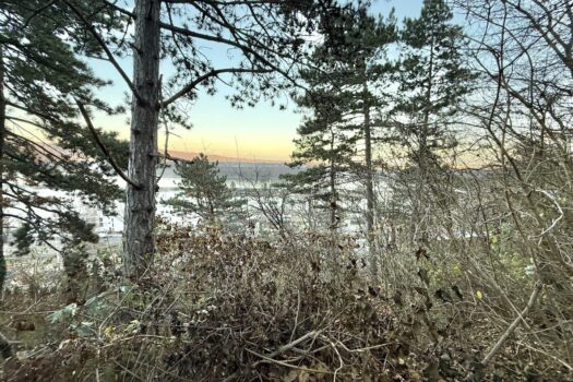 6DDFE03cOuKFzMn8qBRoSY