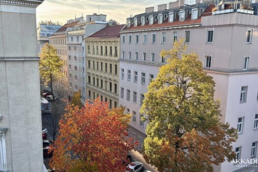 6Fgxj1fMrjREabCYzA0idb