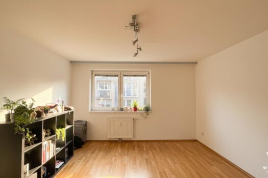 6PMucjj7CPJCl1pemmJTyd