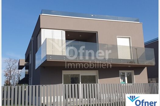 6QaZDjjRT51Yp0lVqZYsy0