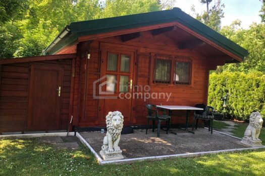 6TwFvu6LfYbWftigYKqLNX