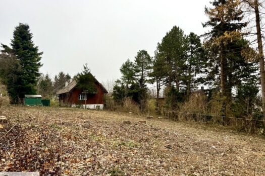 6VlwlqUVJOI5KP418K1qYs