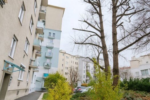 6X0G7LN8VwGYd59AX4VpgY