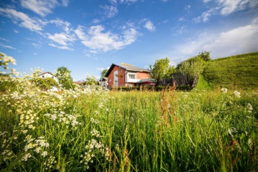 6YHxgGoZ89BHTGj7D2DXD3