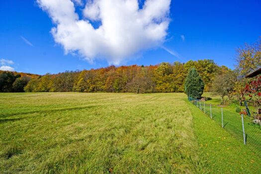 6bHn5I1kuttTJtpcI8omlQ