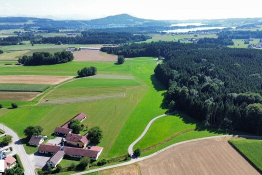 6bzfWzNqHlpm1uLvRxpFbo