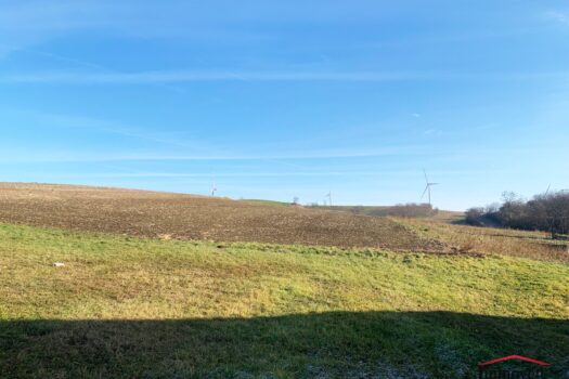 6lJwMxuFLLs3251BZ45eSE