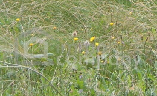 6qBhhENJtF7moI7FcXNrGn