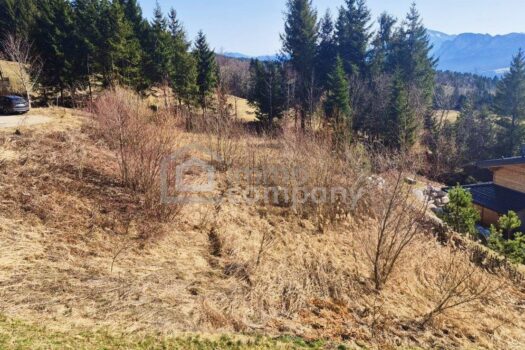 77gYoEB6m7P5jf74QB2GjQ