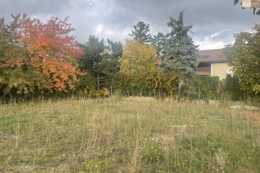 7BejlmlvWyLLdbL62ak6Md