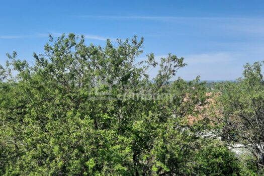 7BxoCJrHZb3axlu8wAyfjk