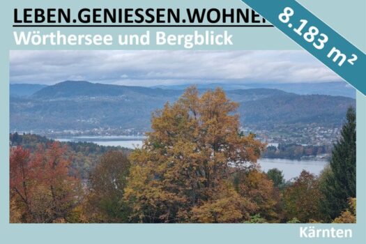 7DkyohGZ5yo2huoAlgBVIg