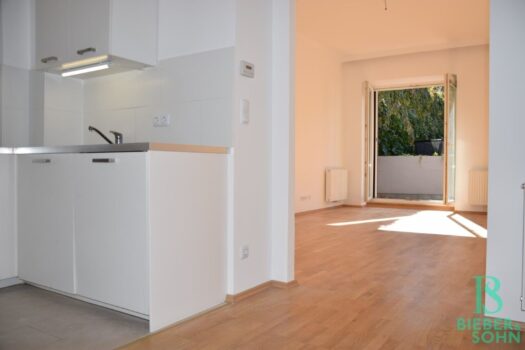 Mitten im 5.! Westterrasse - Top renovierte, große, sonnige Wohnung - Ruhelage Vorraum/Blick Wohnraum