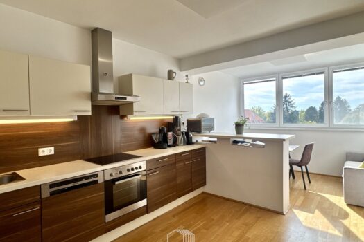 NÄHE HILMTEICH und UNI GRAZ : Vermietete 4-Zimmer-Wohnung mit Balkon & Lift in idealer Lage 7fUEzu5teD8Q5XEs6S6xdG