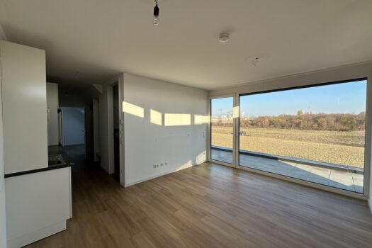 80Okg5LlRt3ltWWDb7fO7