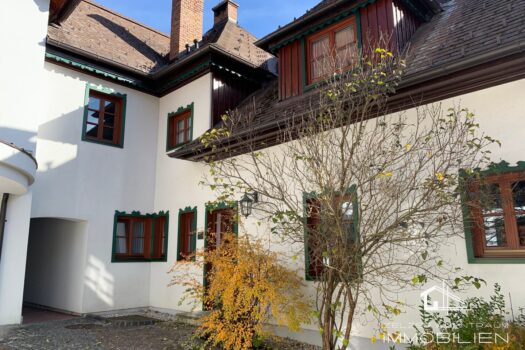 D3KgKaNzVAe95furZ8pty