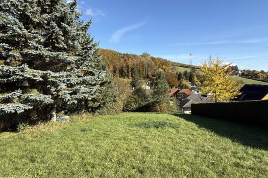 DHqEyfJZjp3pBb4qlln8T