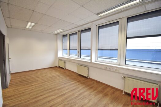 Pf0YYsku3RQW0b6jB11eM