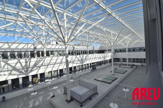 RjVc4y4dtgULnEJLizOUn