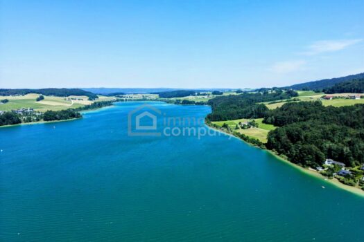 SKCNJlssuBLMcwBZOtQPy