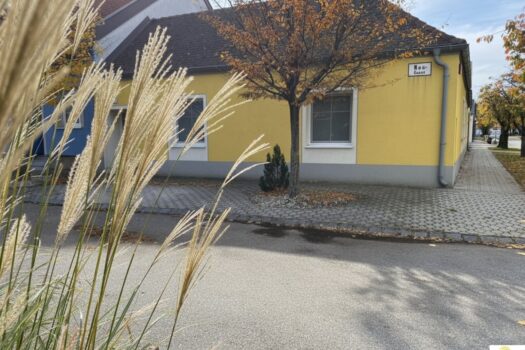 fC028PX03yaTUdtKxdk5r