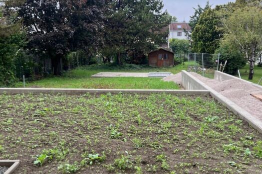 oagcAeggIb9NxHKJoN3E8