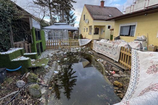 2 Wohneinheiten in ruhiger Lage Garten / Teich