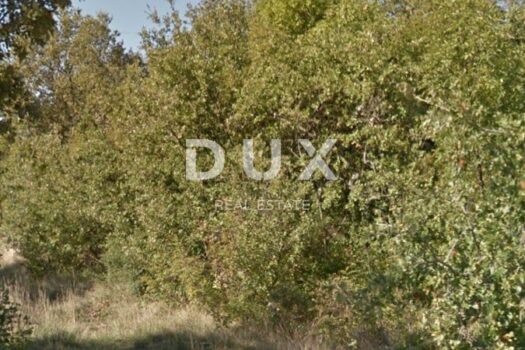 1644224564 272786129 4887607908023697 8897269017933126565 n