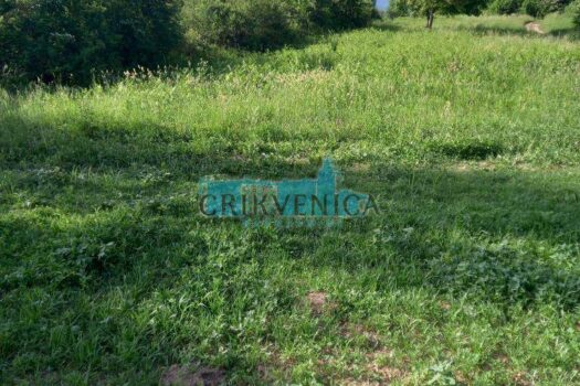 1683706009 img 20230510 wa0001