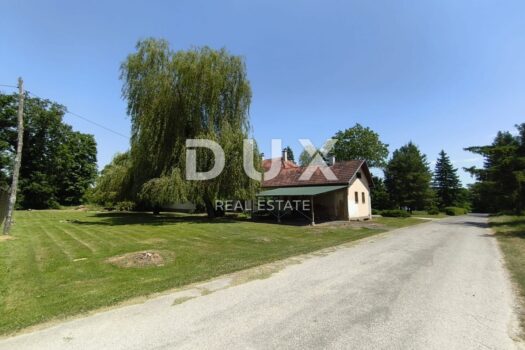 1750443474 whatsapp image 2025 06 20 at 19