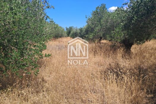 1753280367 whatsapp slika 2025 07 23 u 16