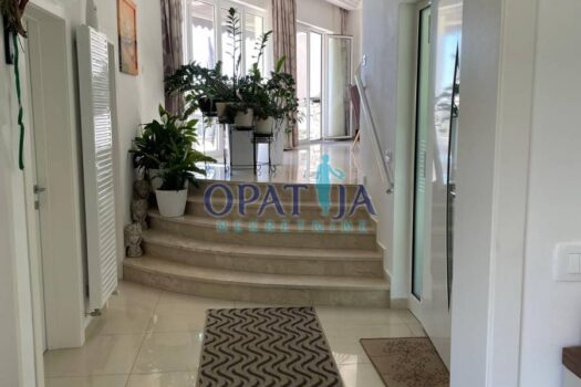 1760103275 1760097254424