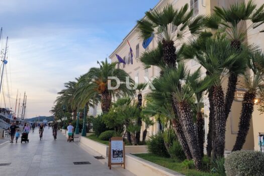 1763414843 whatsapp image 2025 11 17 at 18