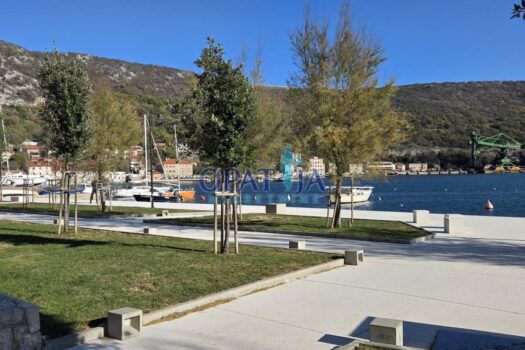 1764573407 1764319422354