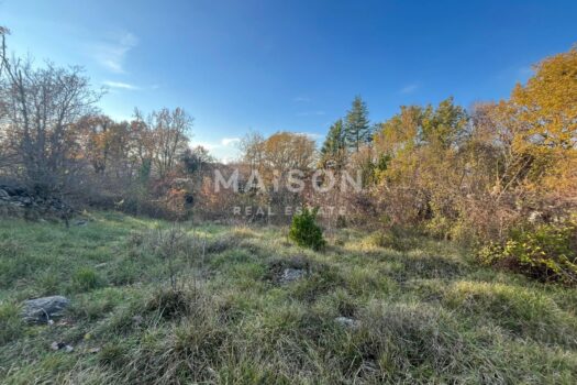 1764671798 19d5b240 0a68 48e3 873b a59b89fe212b