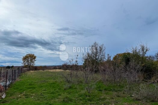 1764707819 e940c6a2 ca98 4a9c 94dc 68508404cdc5