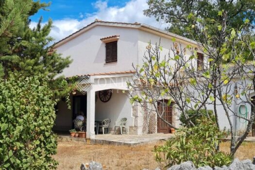 1764750217 1d19c94a 0009 4963 ba79 15283c1a6ee1