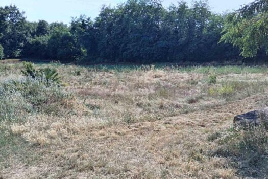 1765208624 thumbnail 1