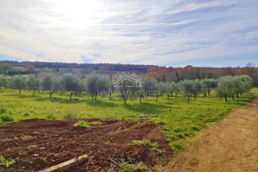 1765467383 whatsapp slika 2025 12 11 u 07