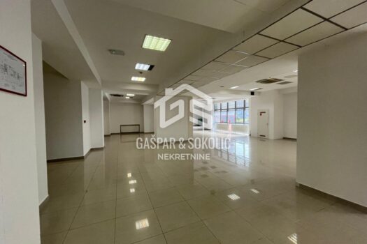 1765529466 img 20251204 wa0004