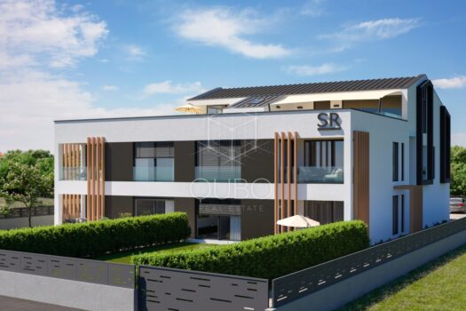 1765544310 thumbnail 1