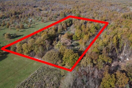 1765547294 whatsapp slika 2025 12 12 u 13