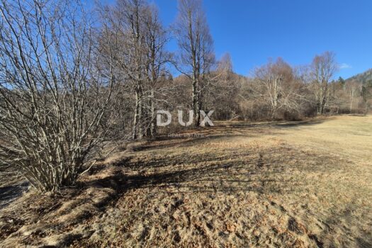 1765569668 20251211 113311