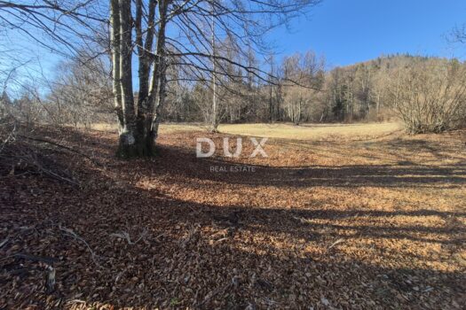 1765570431 20251211 112853 2