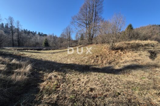 1765571139 20251211 112256 2