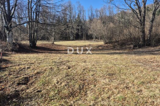 1765571451 20251211 111738 1