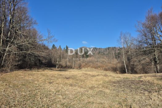 1765571726 20251211 111515 1