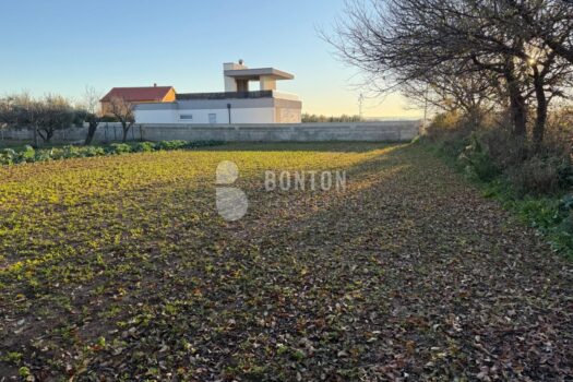 1765755152 whatsapp image 2025 12 15 at 00