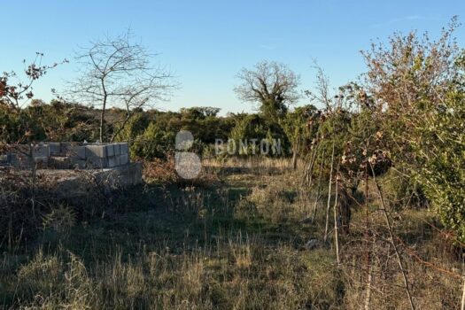 1765755666 203c36d9 c556 4f06 a5b7 e54adf3403a7