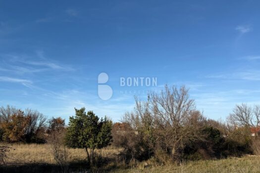 1765756127 1adbdd42 05c3 4778 b057 c2d351bbcc31